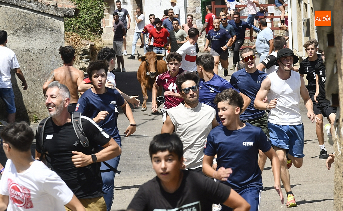  El Bodón  concurrido encierro urbano  vaquillas fiestas San Lorenzo 25