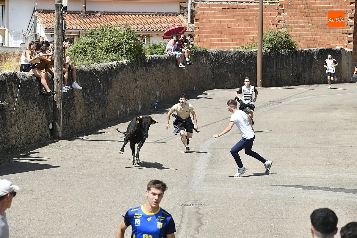 Encierro urbano en las fiestas de San Lorenzo 25 de El Bodón/ Fotos: Adrián M.Pastor