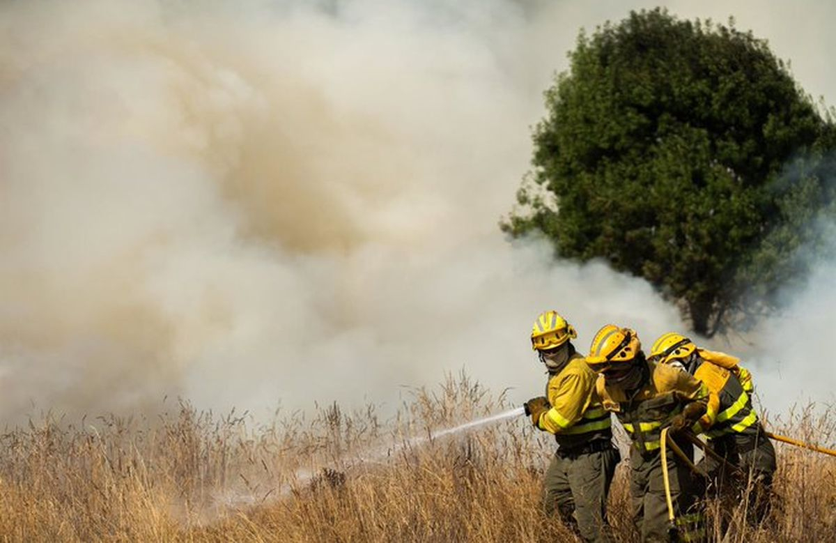 Incendios en Castilla y León hoy: 26 fuegos activos, 10 en nivel 2