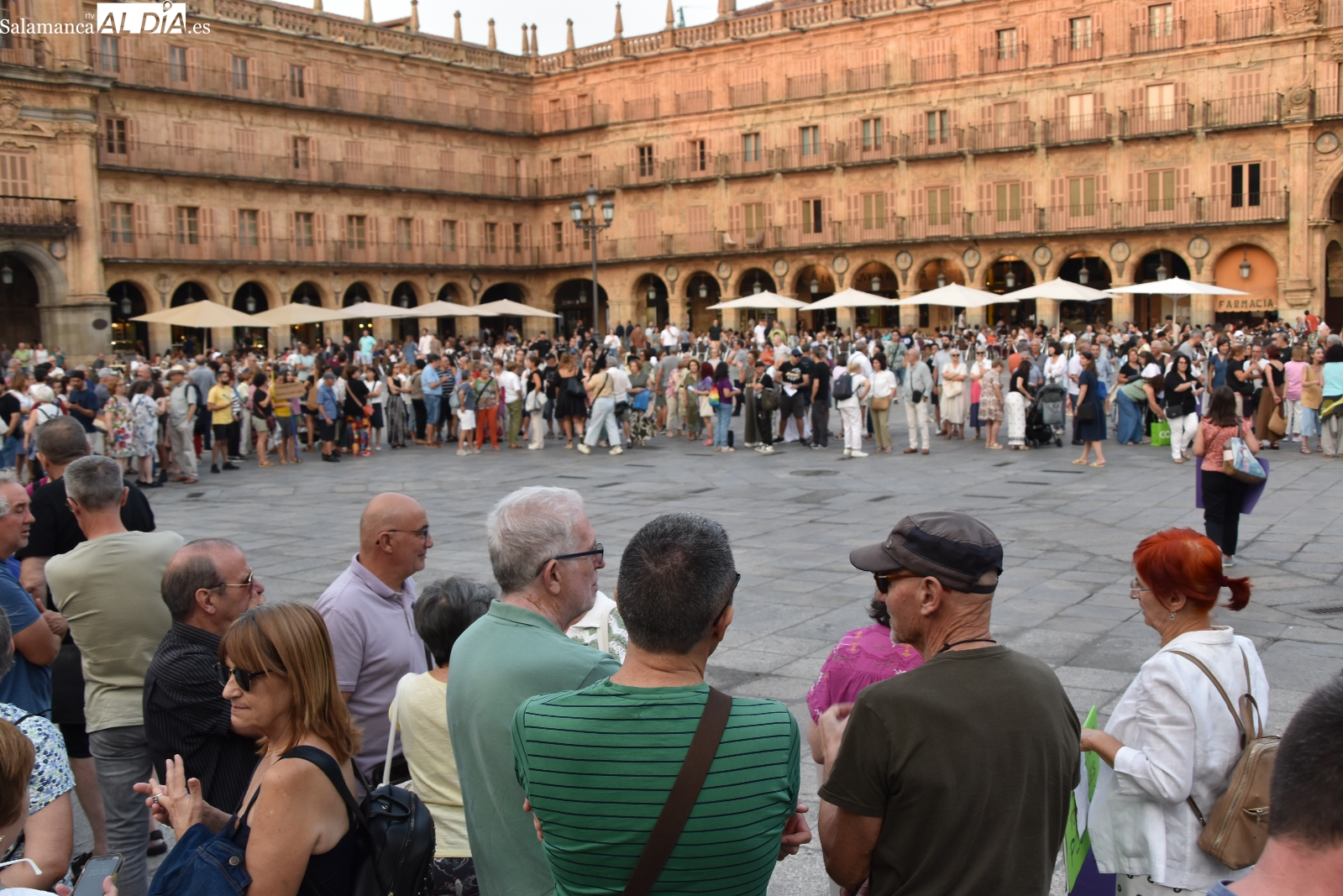 Podemos exige la dimisión de Mañueco por los incendios en CyL