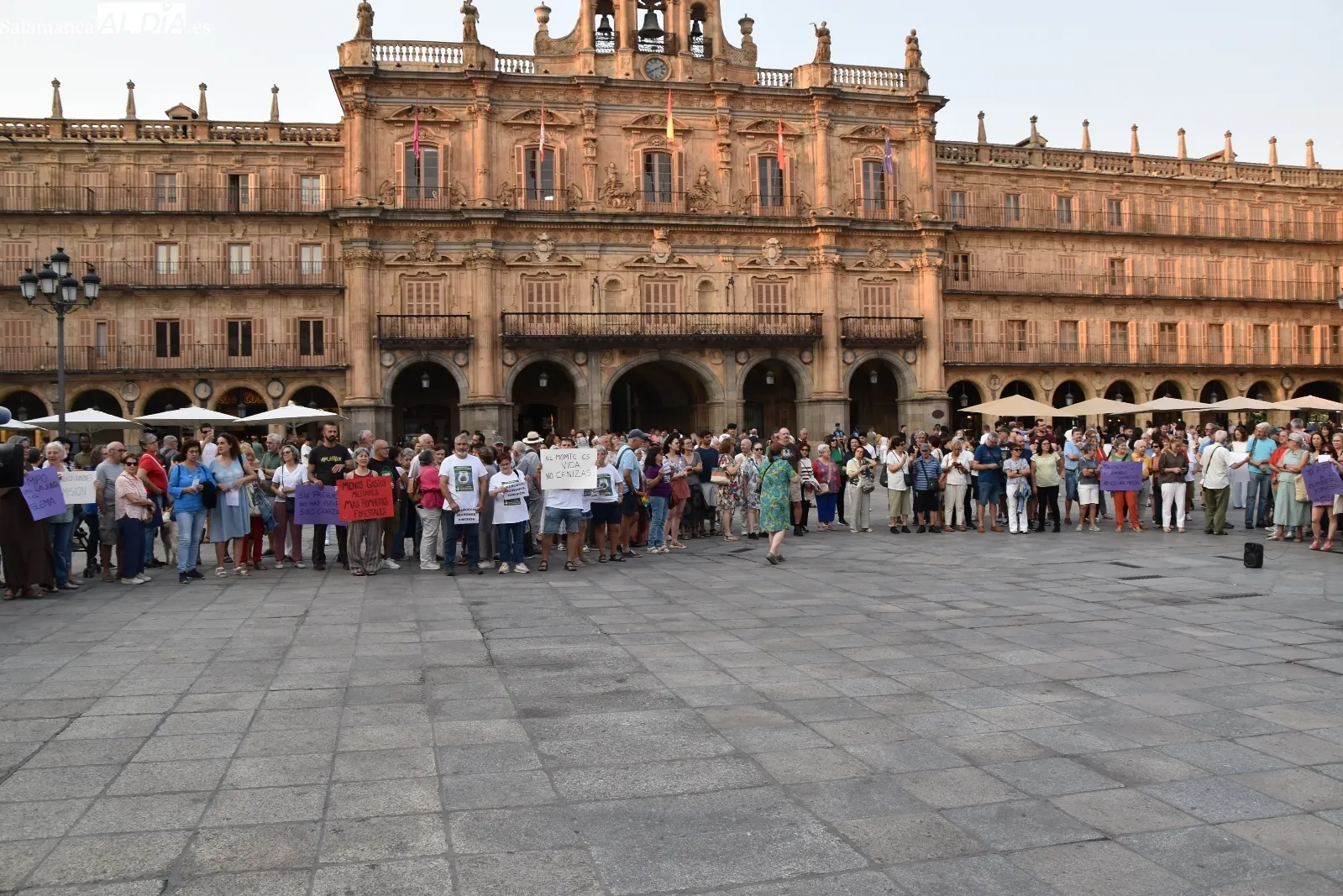 Foto 9 - FOTOS Y V&Iacute;DEO | Decenas de salmantinos piden en la Plaza Mayor la dimisi&oacute;n de Ma&ntilde;ueco y Qui&ntilde;ones por la gesti&oacute;n de los incendios 