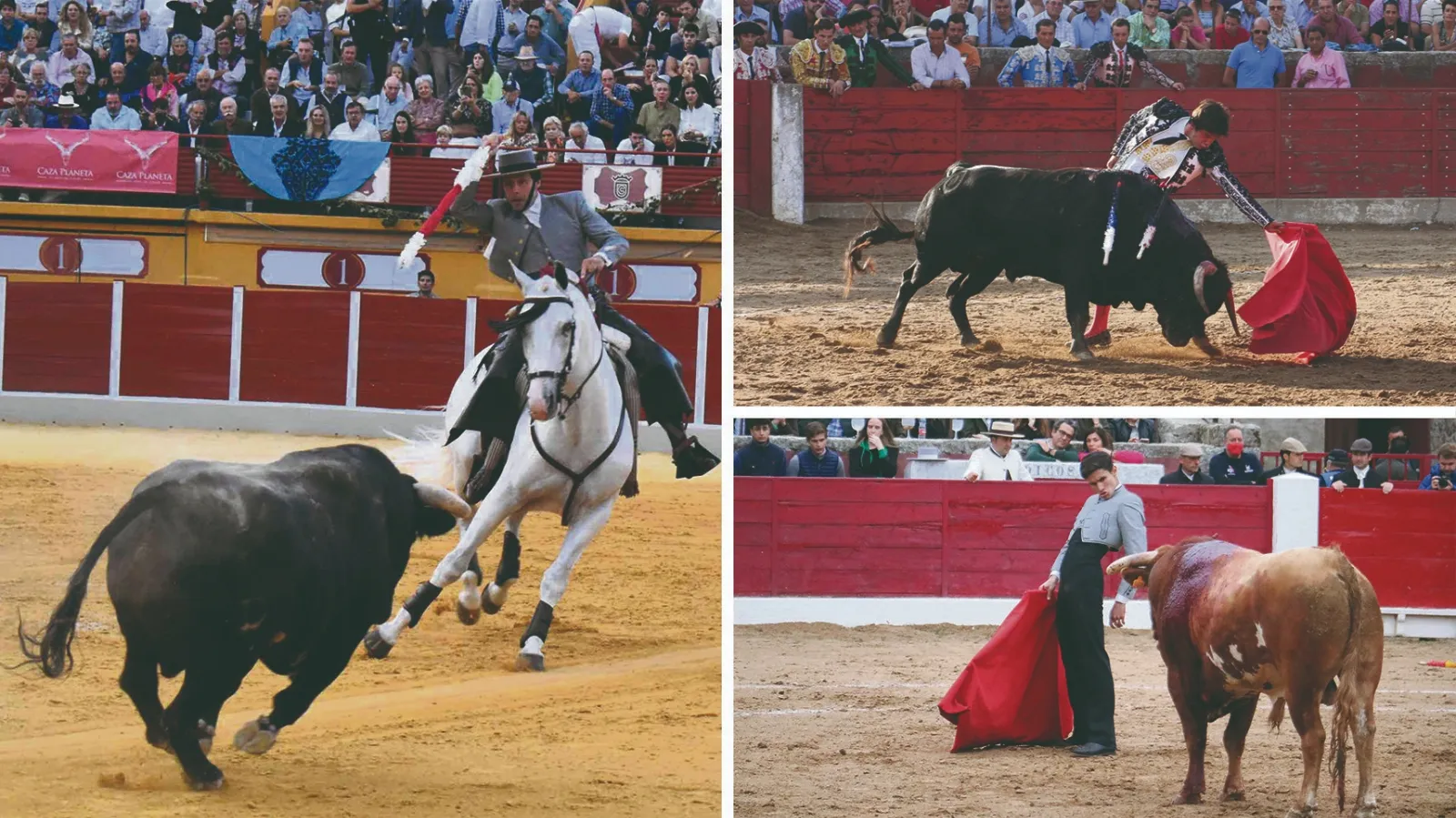 Cartel del 16 de agosto en Vitigudino 