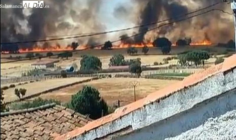 Mañueco anuncia a las OPAs que agricultores y ganaderos profesionales recibirán una ayuda directa mínima de 5.500 euros por los incendios