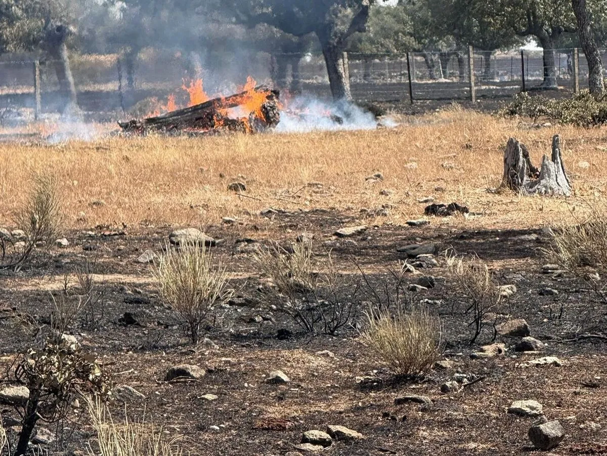 Efectos de los incendios forestales en el campo salmantino. Foto COPASA
