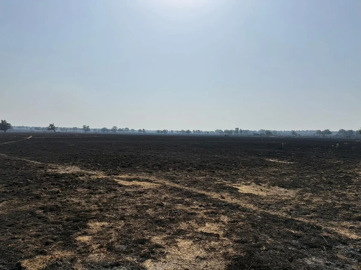 Efectos de los incendios forestales en el campo salmantino. Foto COPASA
