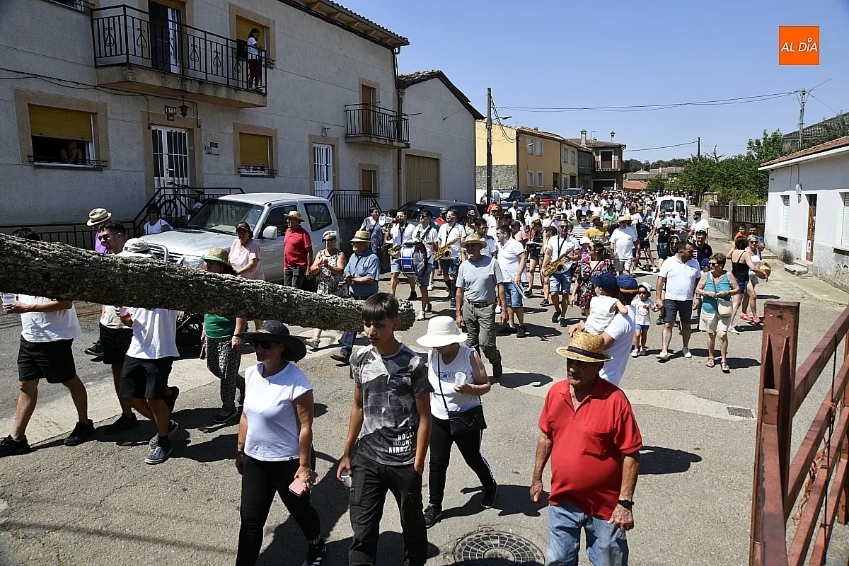 Izado Roble quintos del 60 en Robleda/ Fotos: Adrián M.Pastor