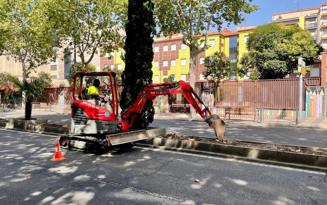 Paseo de Carmelitas se renueva con 2.600 nuevas plantas