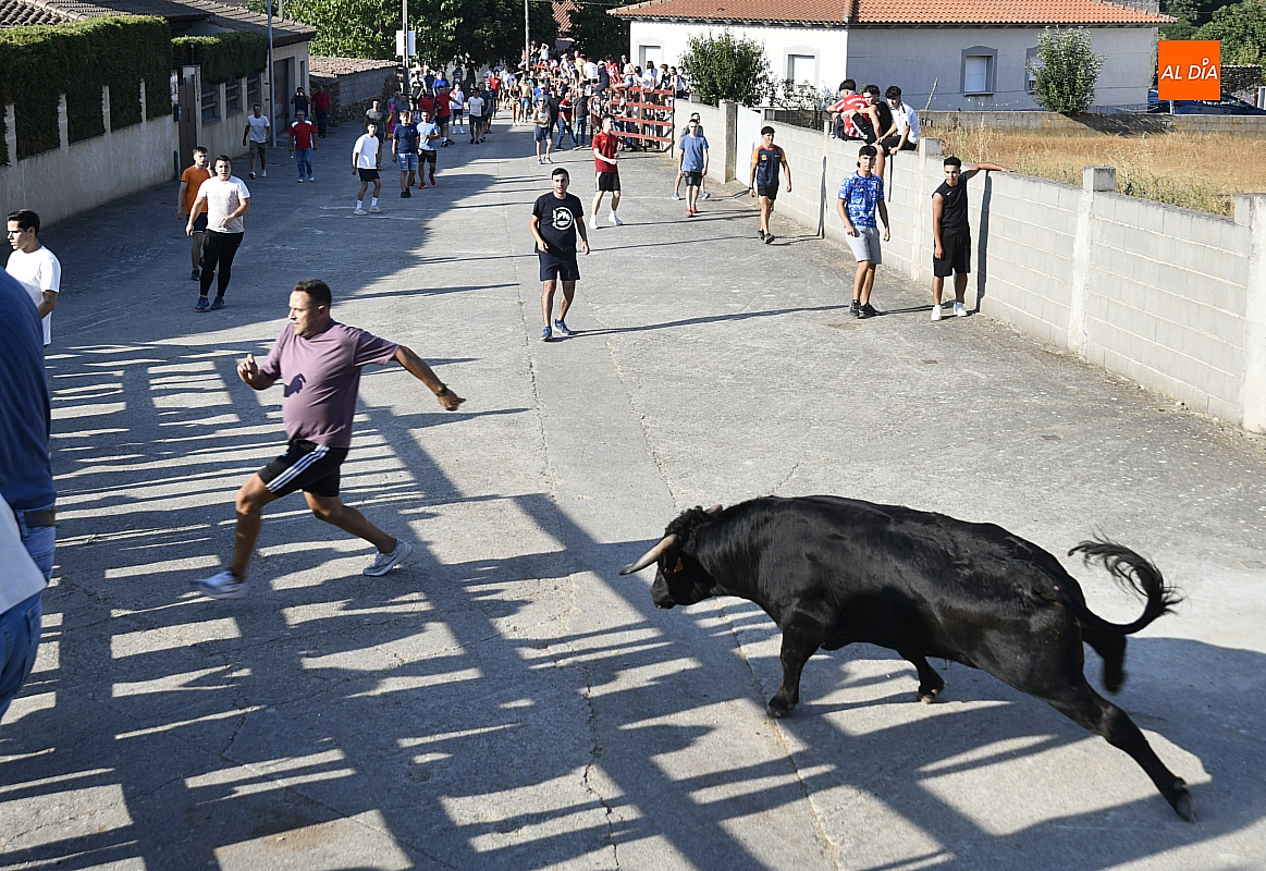 Divertida tarde con el toro del cajón y vaquillas en Villar de la Yegua