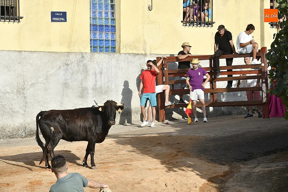 Vaquillas en la Atalaya en sus fiestas de verano/ Fotos: Adrián M.Pastor