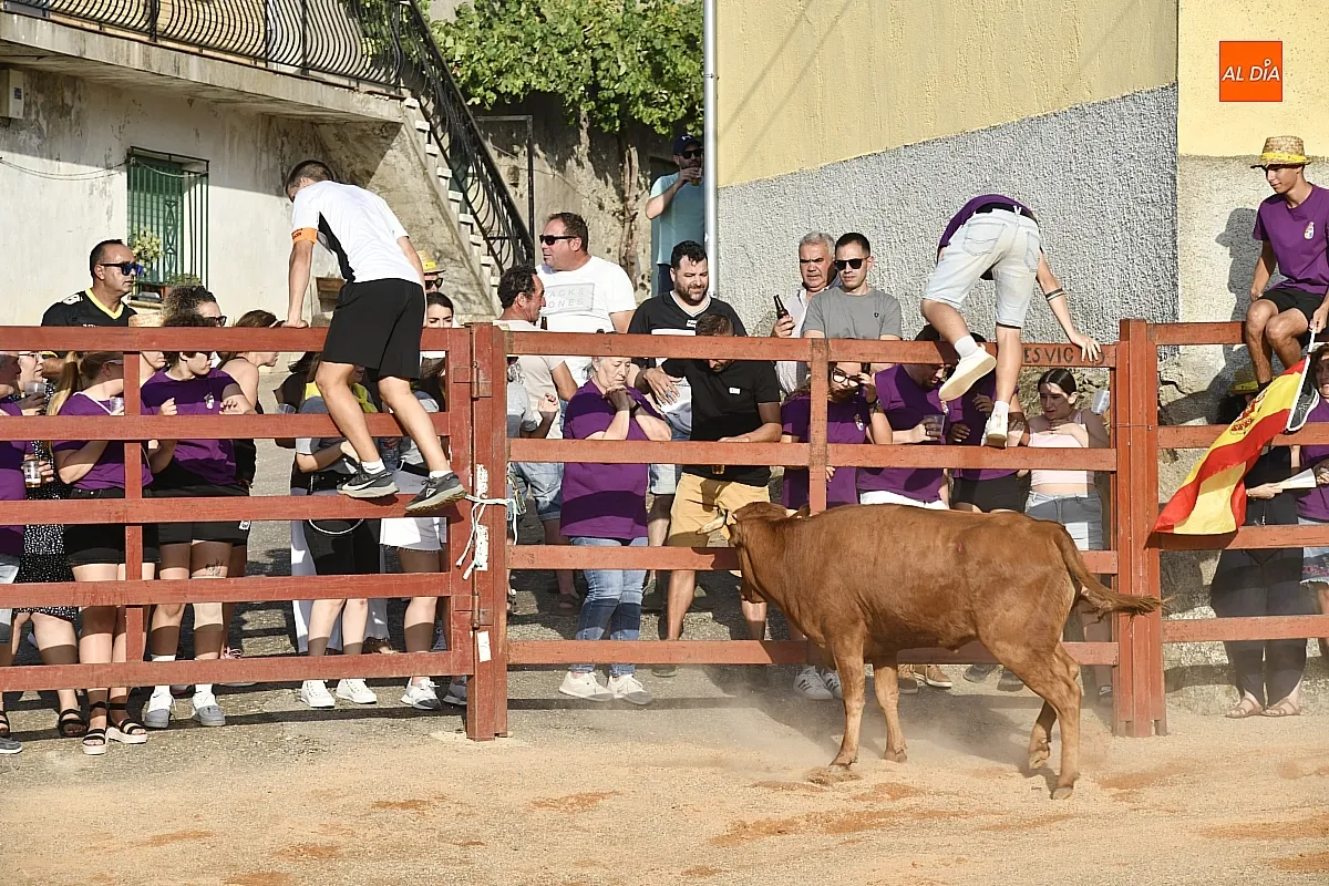 Vaquillas en la Atalaya en sus fiestas de verano/ Fotos: Adrián M.Pastor