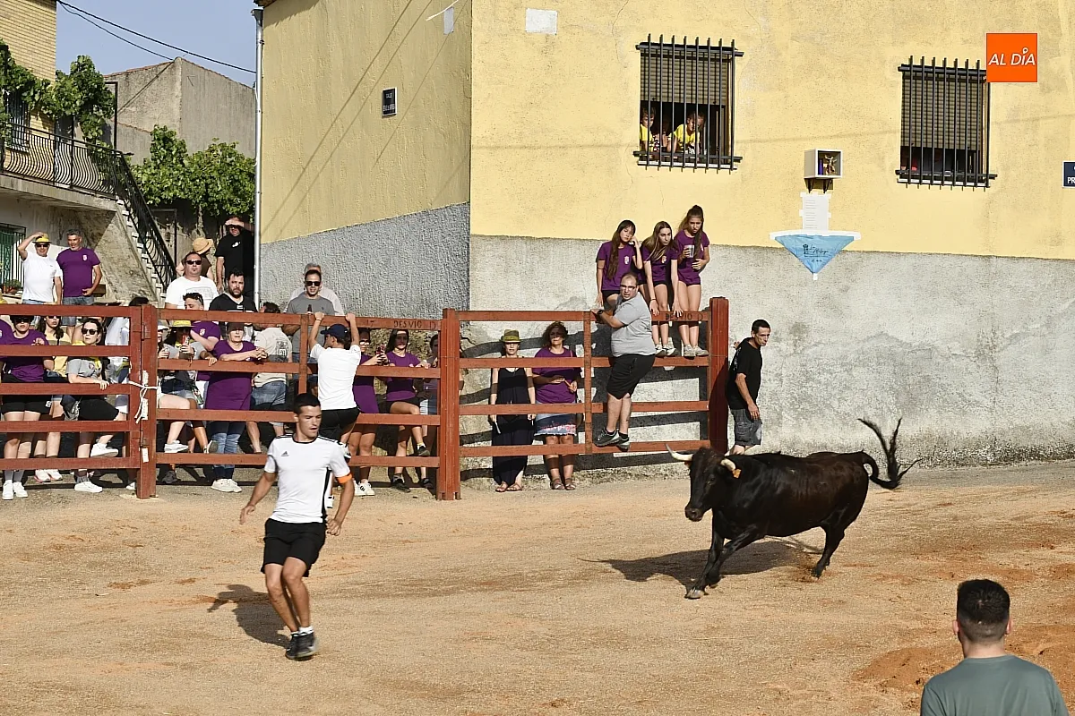 Vaquillas en la Atalaya en sus fiestas de verano/ Fotos: Adrián M.Pastor