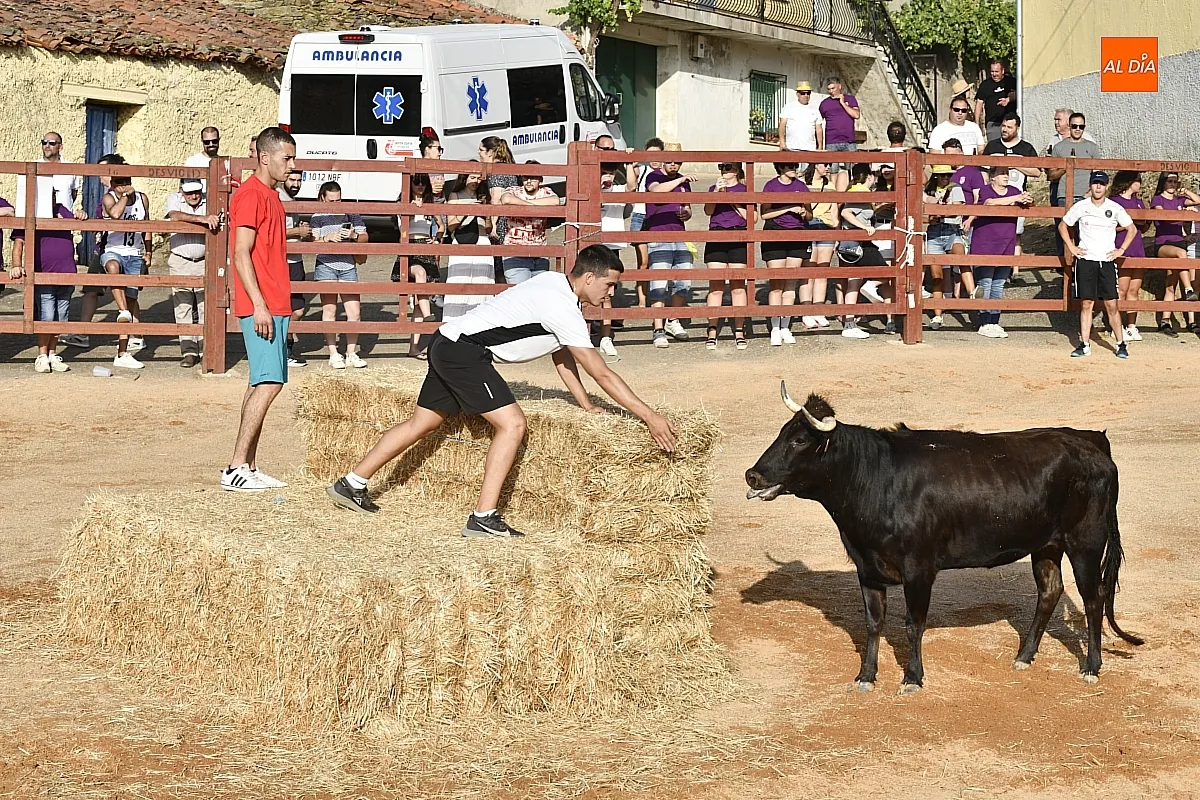 Vaquillas en la Atalaya en sus fiestas de verano/ Fotos: Adrián M.Pastor