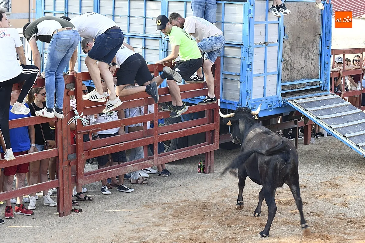 Vaquillas en la Atalaya en sus fiestas de verano/ Fotos: Adrián M.Pastor