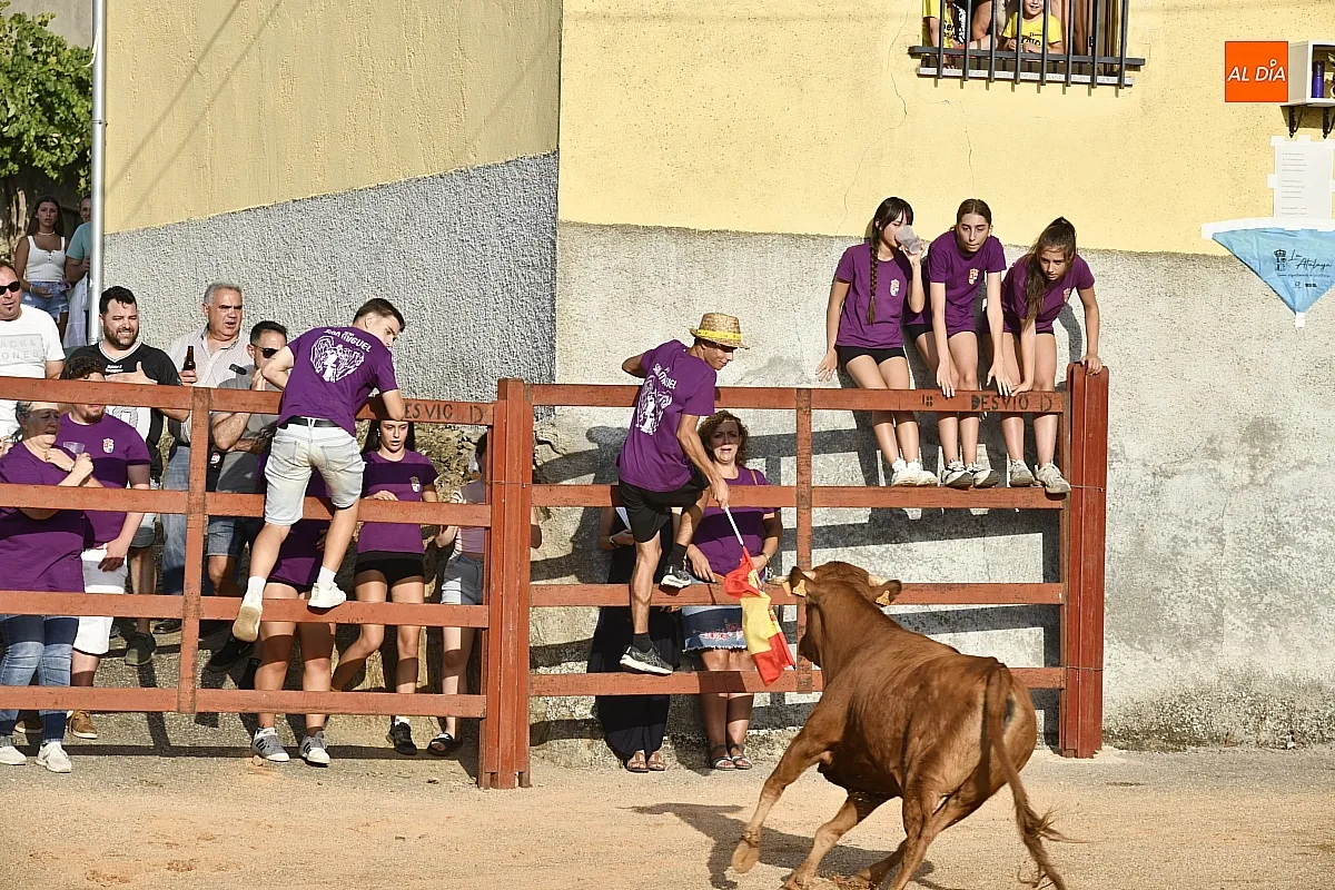 Vaquillas en la Atalaya en sus fiestas de verano/ Fotos: Adrián M.Pastor