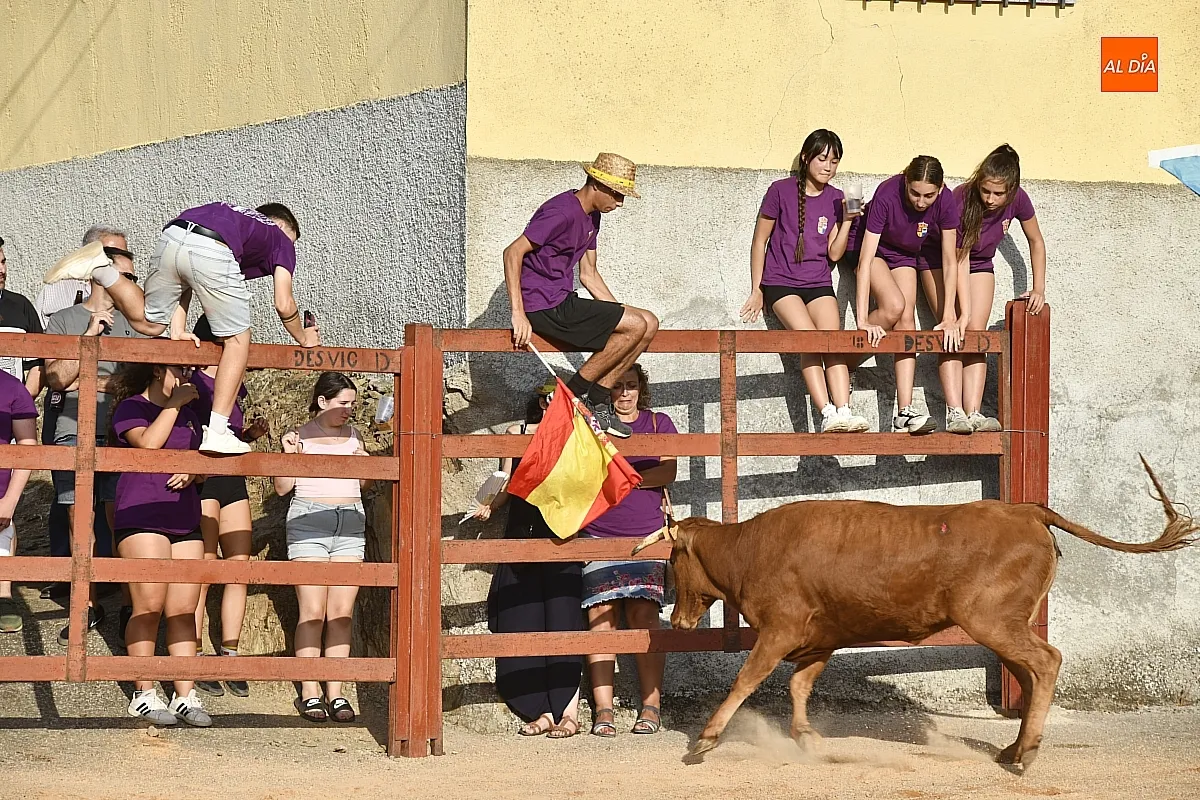 Vaquillas en la Atalaya en sus fiestas de verano/ Fotos: Adrián M.Pastor