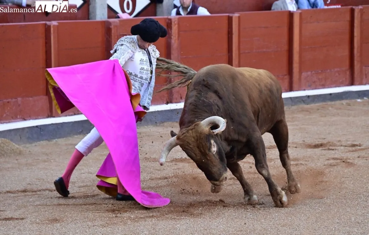 Foto 3 - &iexcl;Qu&eacute; torero!