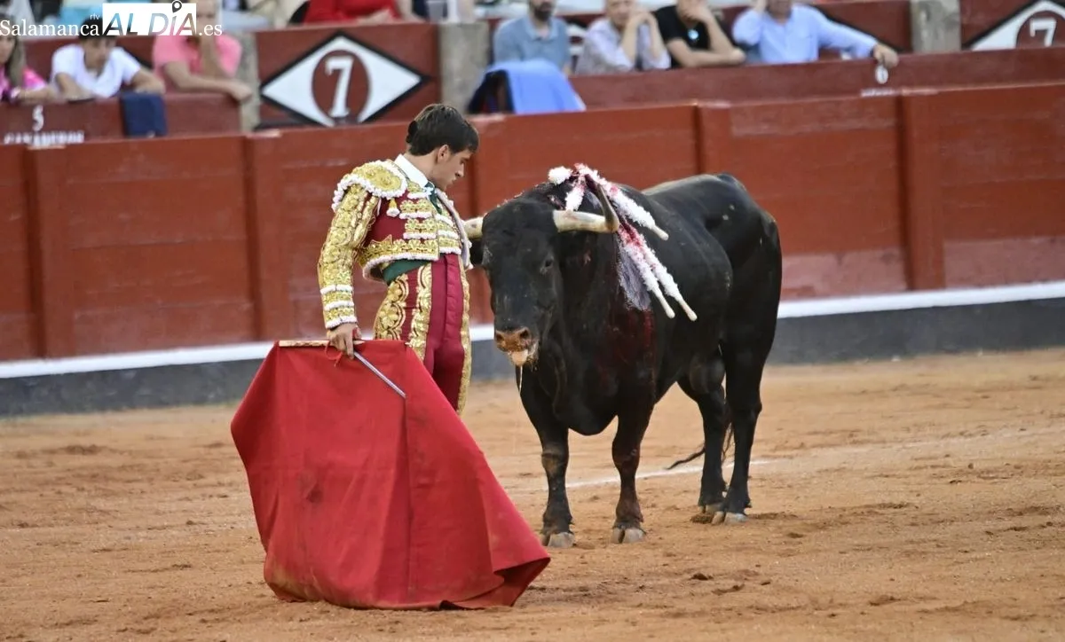 Foto 10 - &iexcl;Qu&eacute; torero!