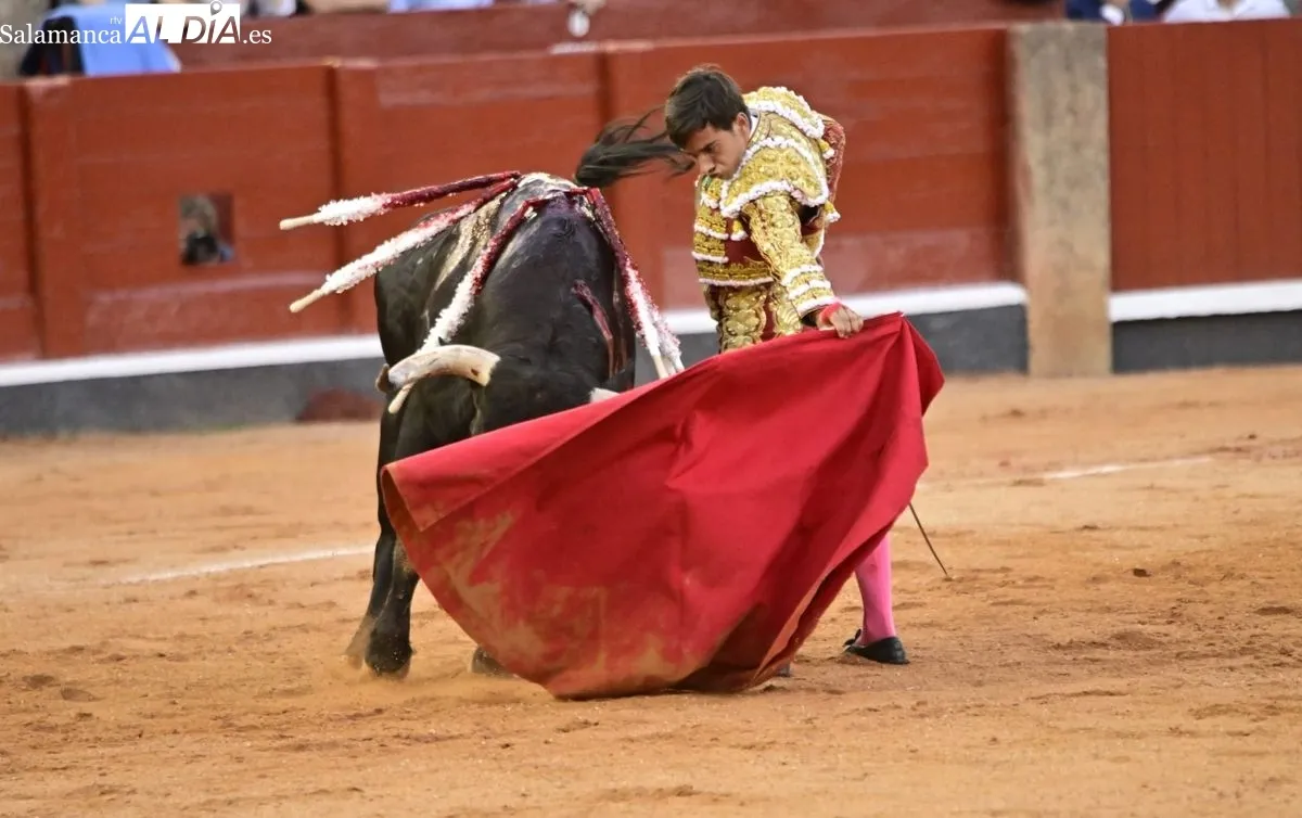 Foto 9 - &iexcl;Qu&eacute; torero!