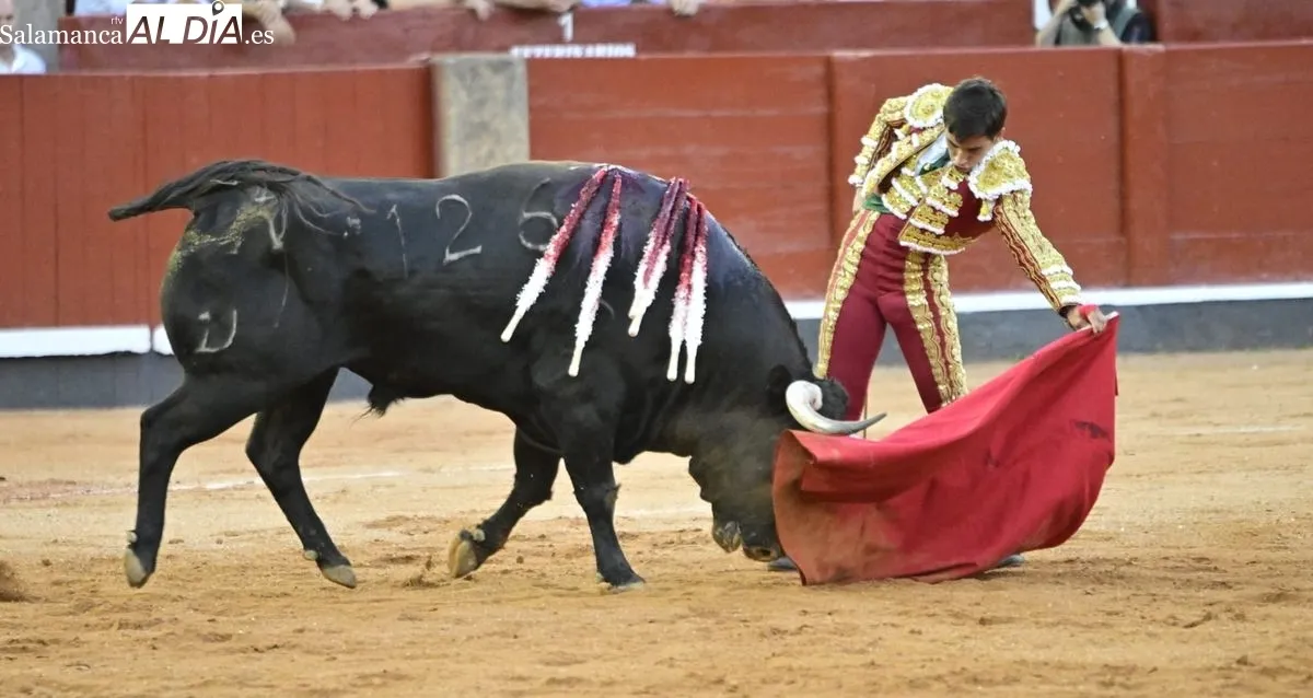 Foto 8 - &iexcl;Qu&eacute; torero!