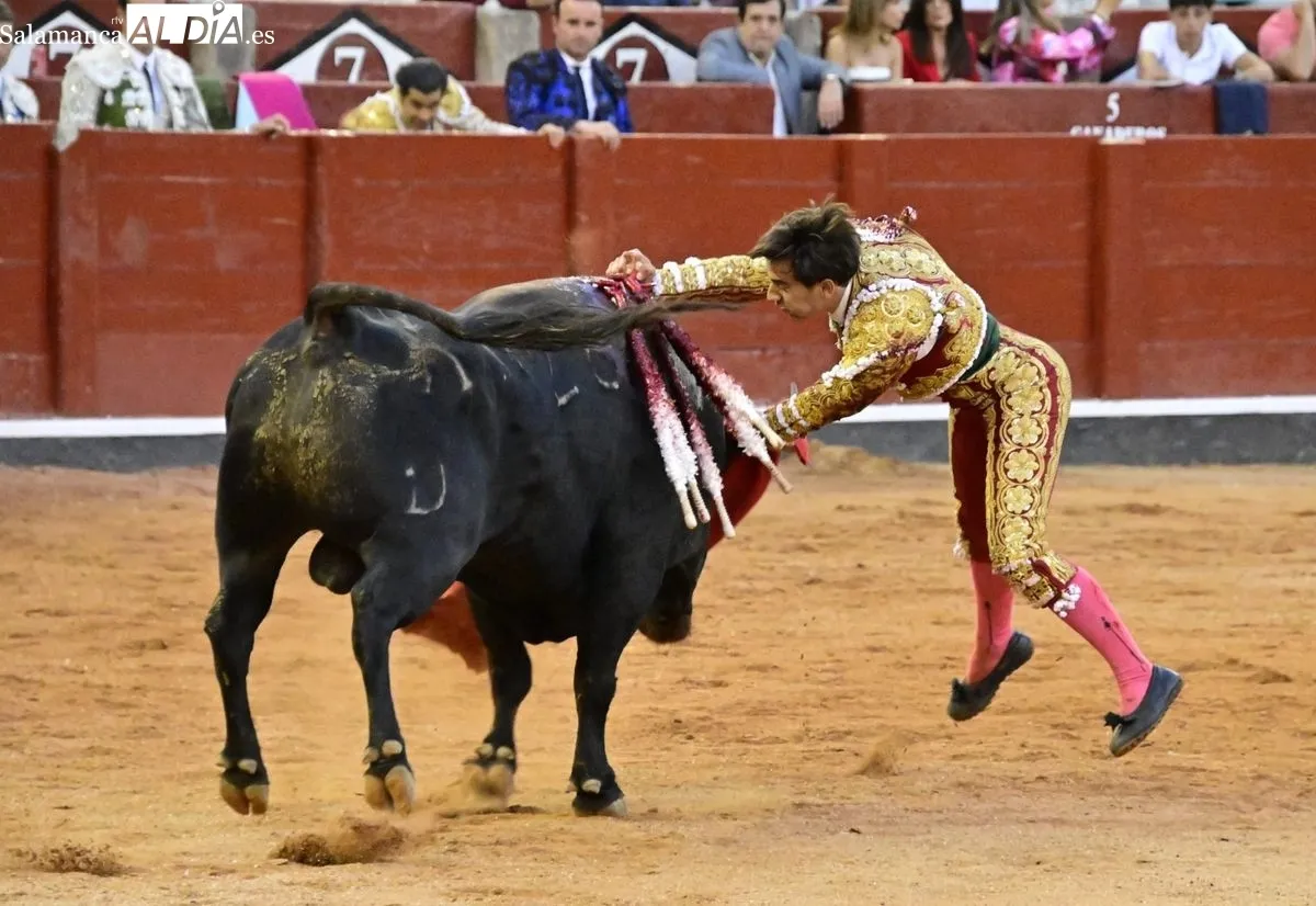 Foto 6 - &iexcl;Qu&eacute; torero!