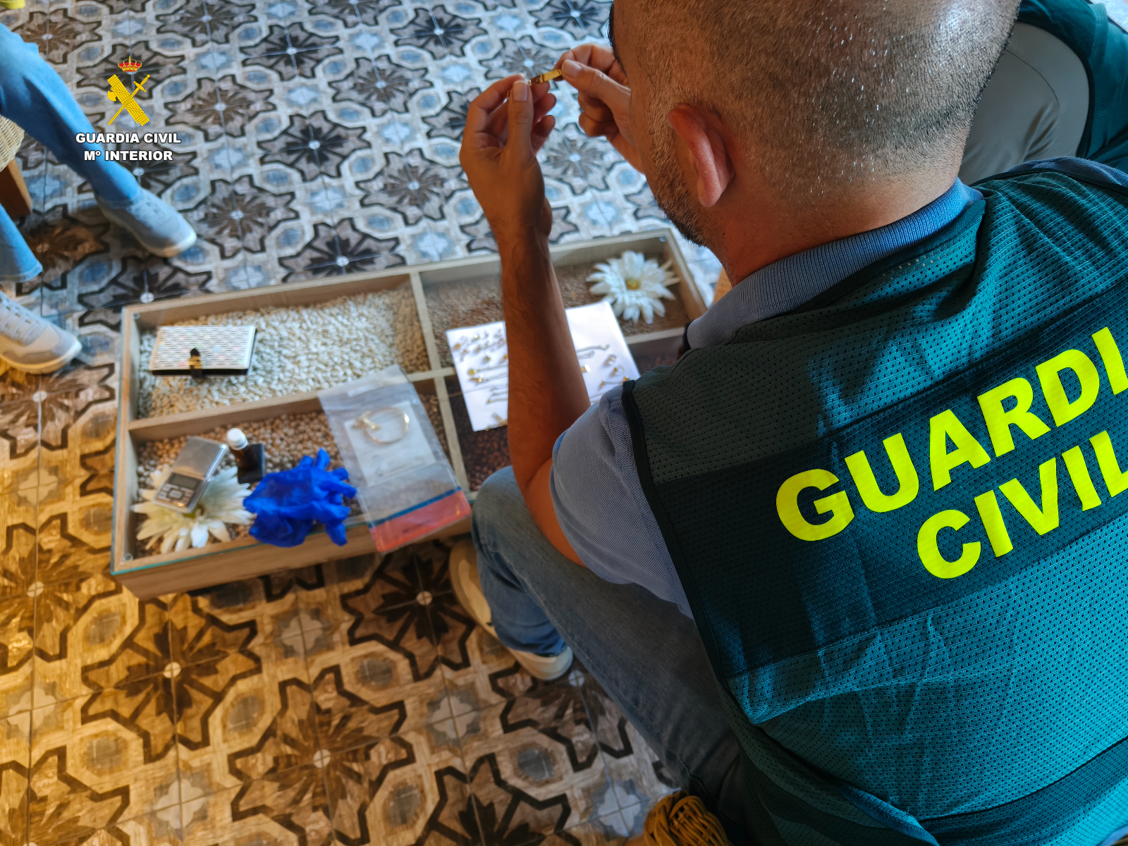 Robos en Salamanca: cae un grupo criminal en Alba de Tormes