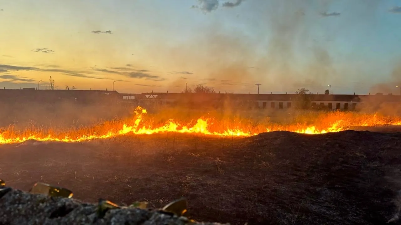 Foto 2 - Extinguido un alarmante incendio declarado en un terreno pr&oacute;ximo al barrio de San L&aacute;zaro