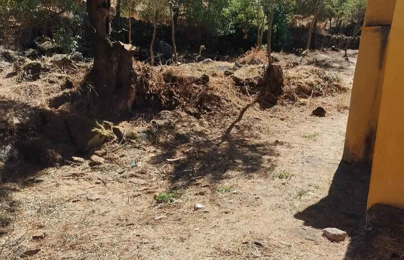 Foto 3 - Fuentes de O&ntilde;oro acondiciona el cauce de la Ribera del Berrocal