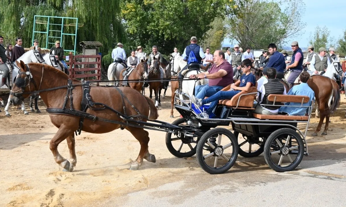 Foto 3 - Unas 120 personas participan a pie y a caballo en el paseo solidario de las fiestas de Pedrotoro