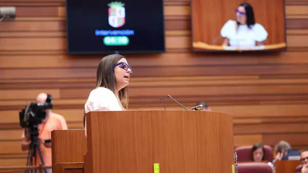 Ley de publicidad CyL: el Consultivo ve inconstitucionalidad