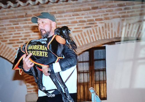 Campeón de España de galgos: un salmantino gana tras 80 años