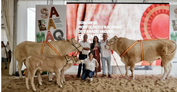 Salamaq 25: Ulises y Paloma, campeones de Aquitania