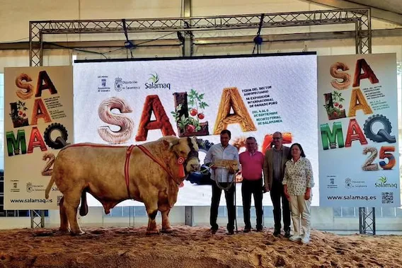 Estos son los ganadores del Concurso Nacional de Blonde de Aquitania y de raza Charolesa en Salamaq | FOTOS: Salamaq