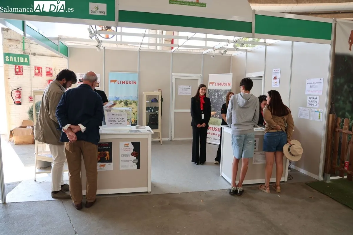 Ambiente en Salamaq en las primeras horas de apertura. Foto: David Sañudo