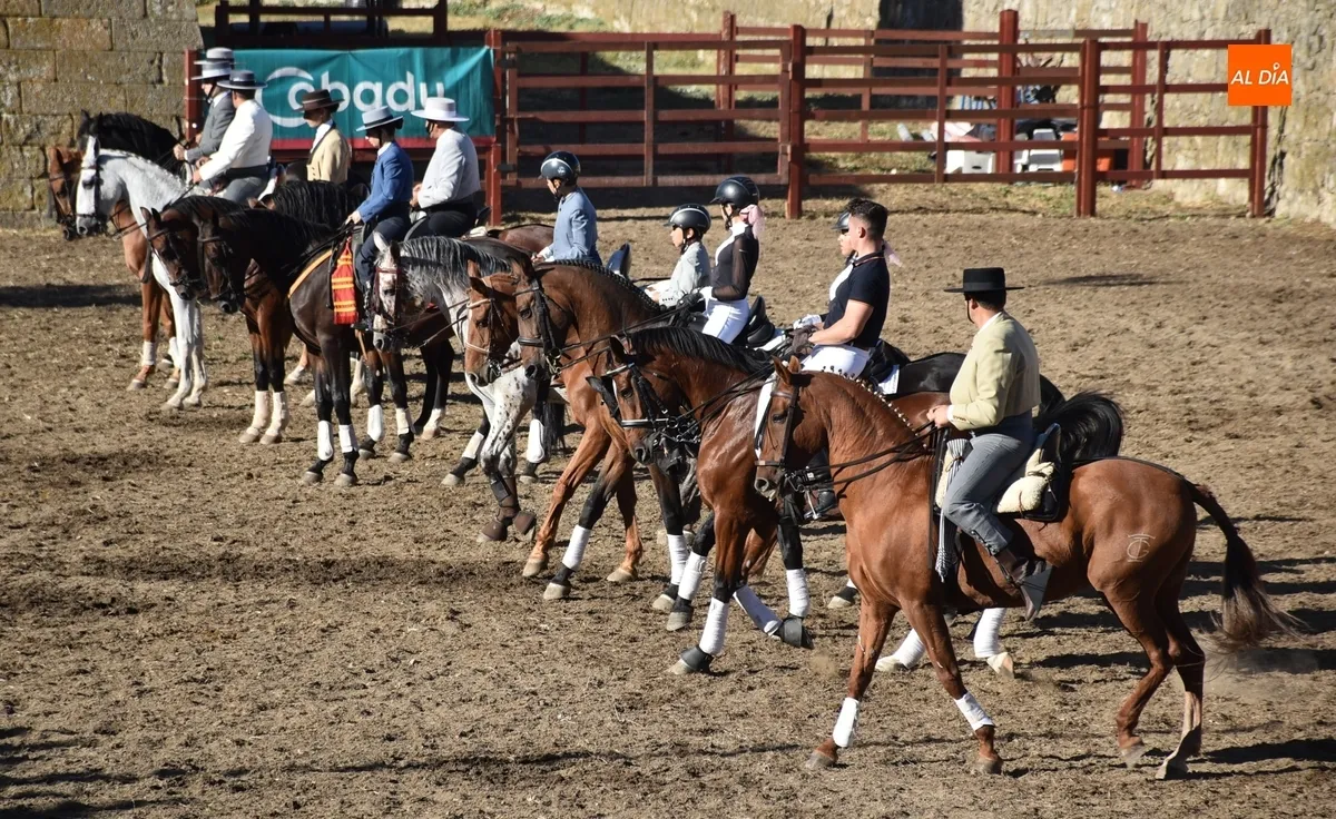 Foto 2 - Los caballistas y bailarinas de Embrujo de Castilla encandilan a los mirobrigenses