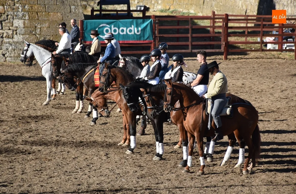 Foto 3 - Los caballistas y bailarinas de Embrujo de Castilla encandilan a los mirobrigenses