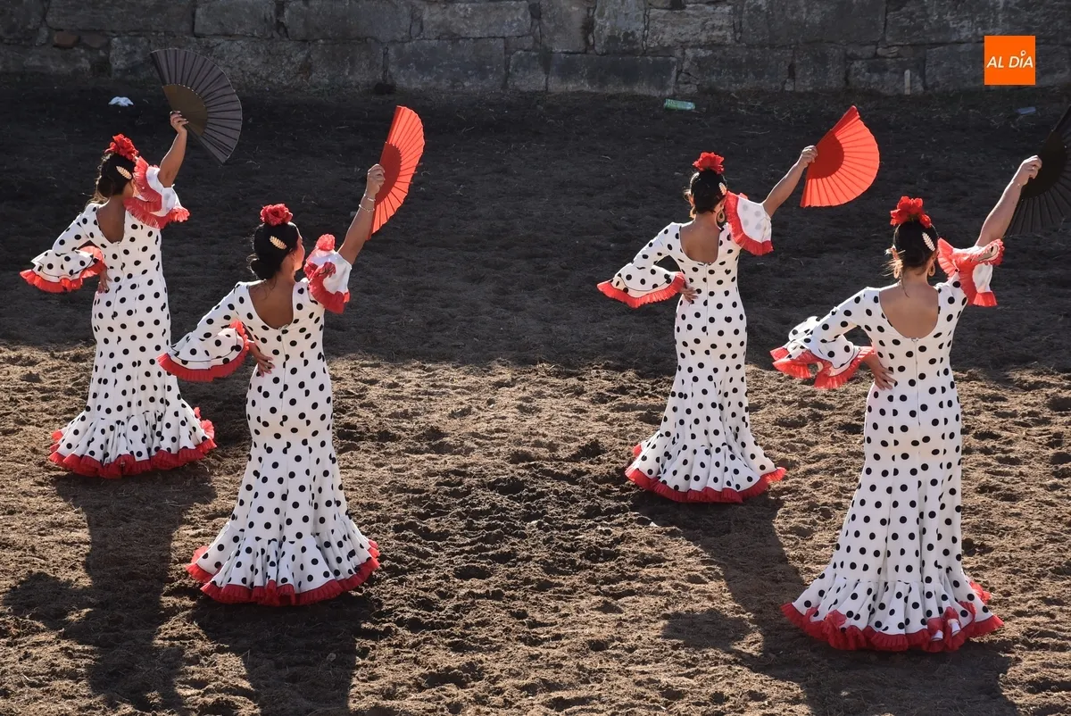 Foto 4 - Los caballistas y bailarinas de Embrujo de Castilla encandilan a los mirobrigenses