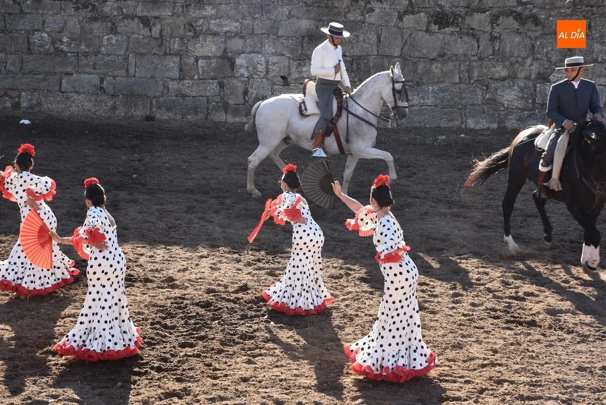 Foto 5 - Los caballistas y bailarinas de Embrujo de Castilla encandilan a los mirobrigenses