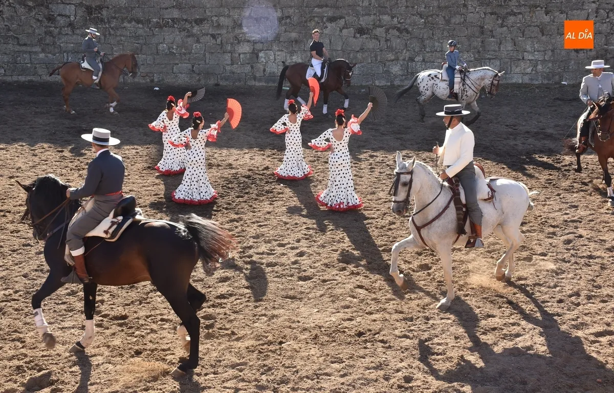 Foto 6 - Los caballistas y bailarinas de Embrujo de Castilla encandilan a los mirobrigenses