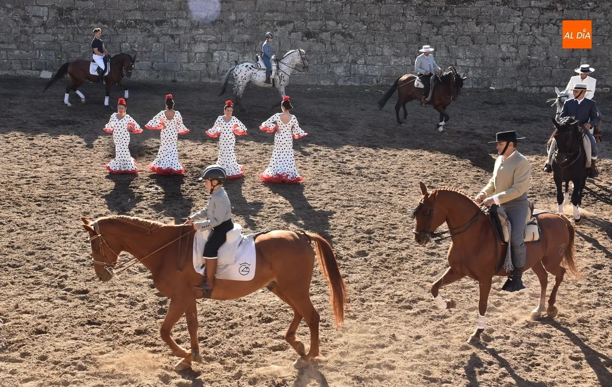 Foto 9 - Los caballistas y bailarinas de Embrujo de Castilla encandilan a los mirobrigenses