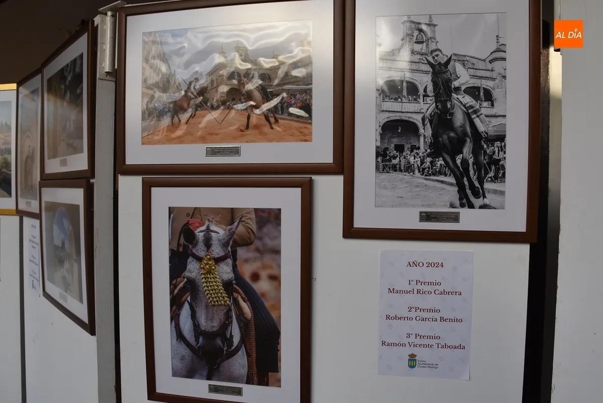Foto 4 - Las fotograf&iacute;as de la Feria del Caballo premiadas desde 2010 anticipan lo que est&aacute; por venir
