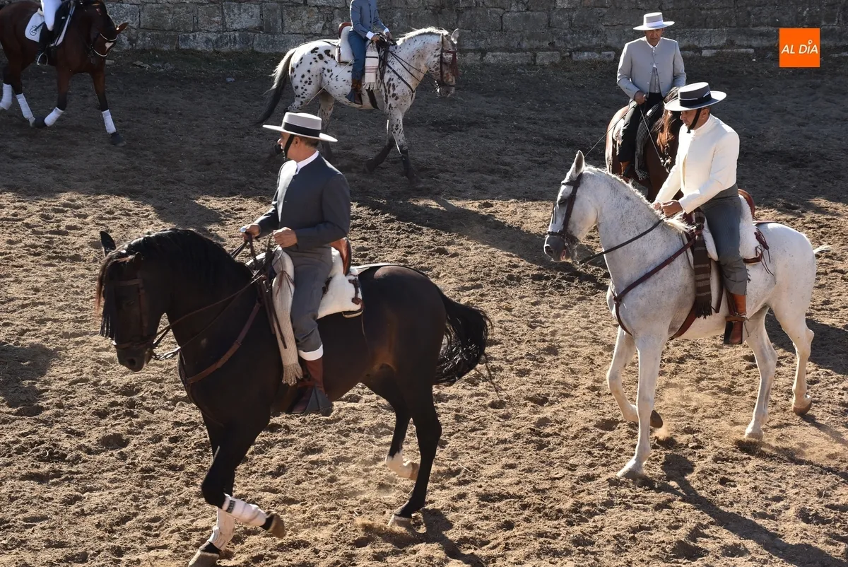 Foto 10 - Los caballistas y bailarinas de Embrujo de Castilla encandilan a los mirobrigenses