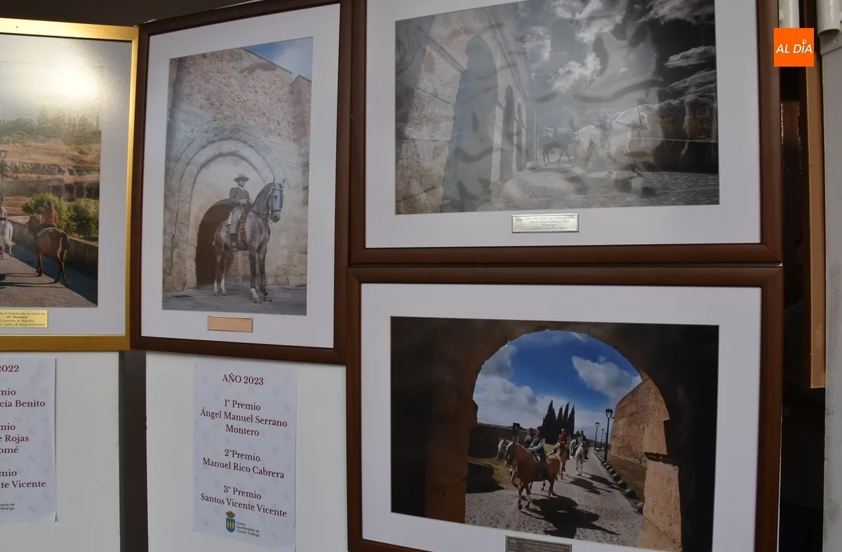 Foto 5 - Las fotograf&iacute;as de la Feria del Caballo premiadas desde 2010 anticipan lo que est&aacute; por venir