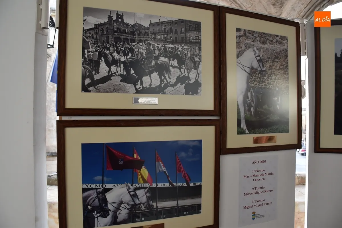 Foto 7 - Las fotograf&iacute;as de la Feria del Caballo premiadas desde 2010 anticipan lo que est&aacute; por venir