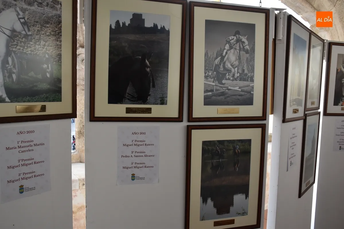 Foto 8 - Las fotograf&iacute;as de la Feria del Caballo premiadas desde 2010 anticipan lo que est&aacute; por venir