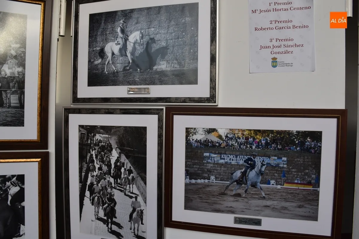 Foto 9 - Las fotograf&iacute;as de la Feria del Caballo premiadas desde 2010 anticipan lo que est&aacute; por venir