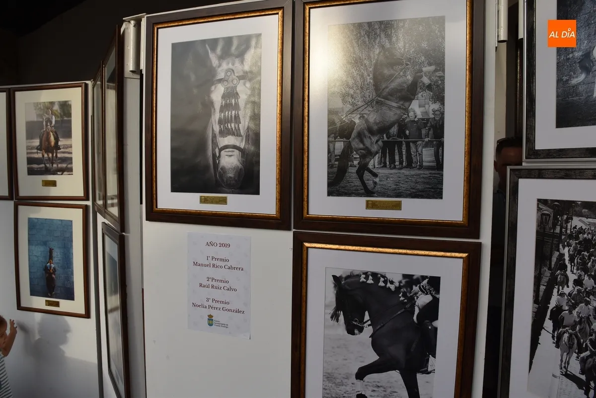 Foto 10 - Las fotograf&iacute;as de la Feria del Caballo premiadas desde 2010 anticipan lo que est&aacute; por venir
