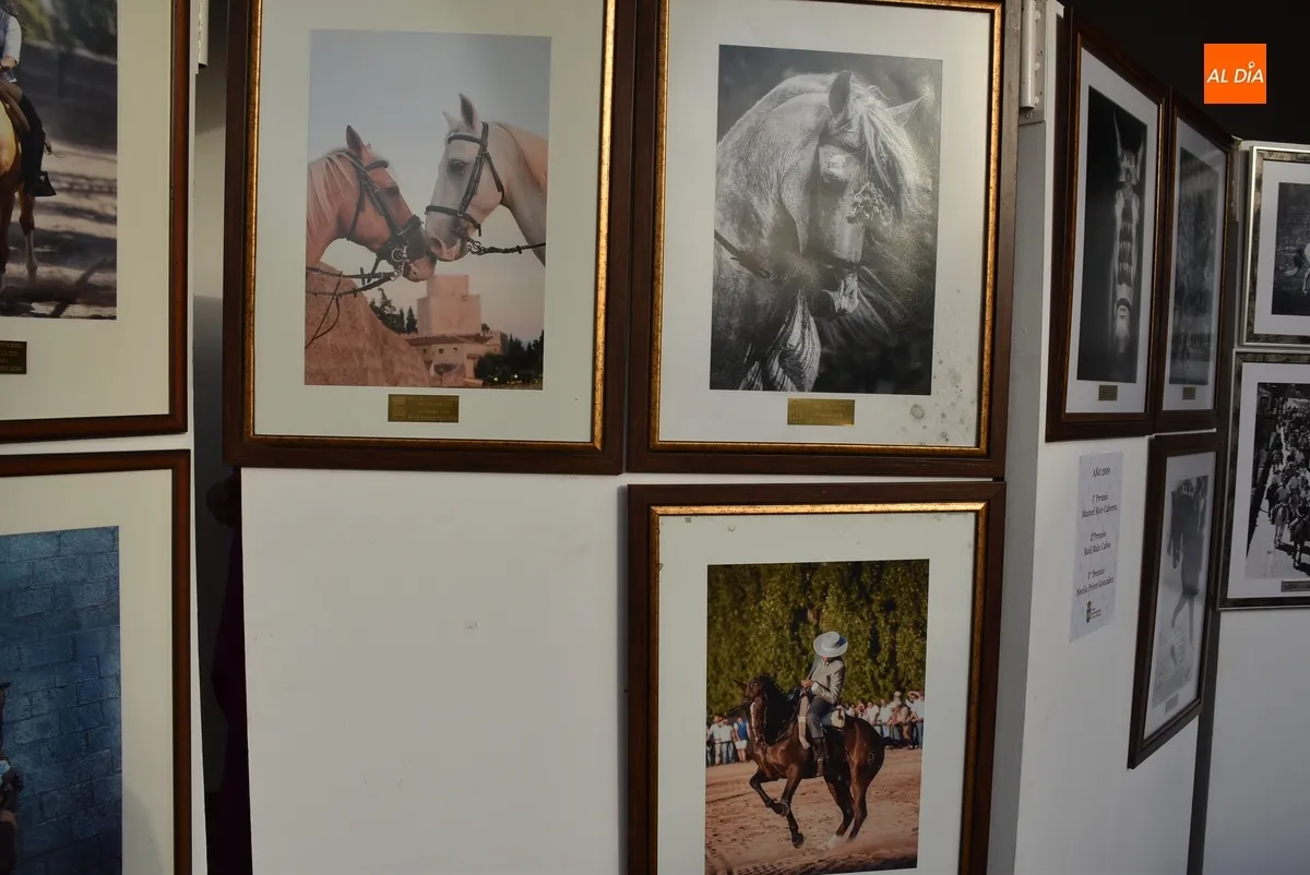 Foto 11 - Las fotograf&iacute;as de la Feria del Caballo premiadas desde 2010 anticipan lo que est&aacute; por venir
