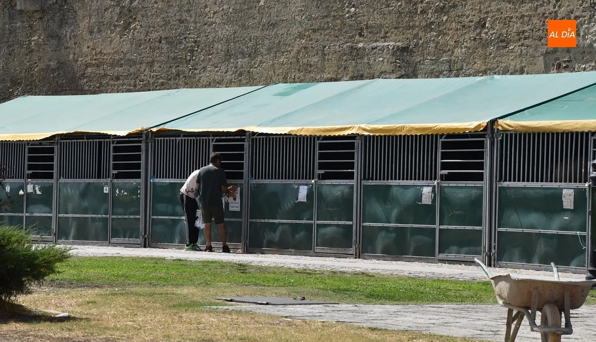 Foto 6 - Ultimados la pista de arena de la Plaza Mayor y el cuadrilongo del foso