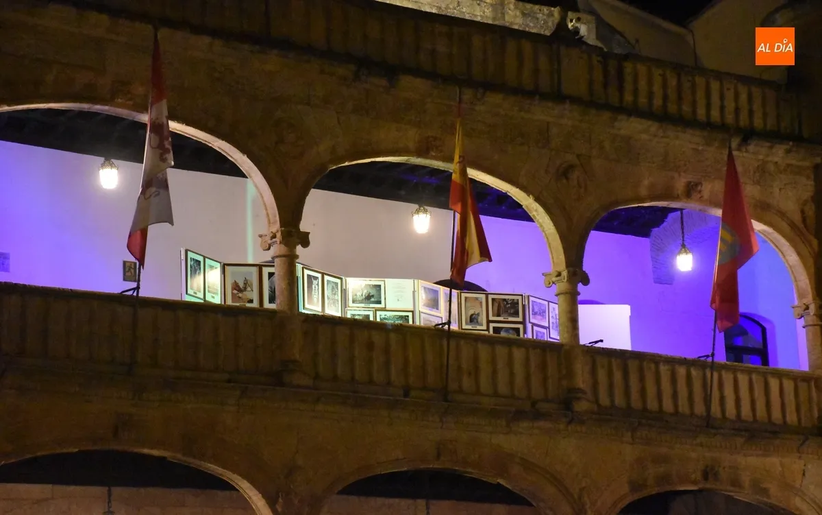 Foto 4 - Ciudad Rodrigo se ilumina de verde y azul por el D&iacute;a Mundial de la Retina