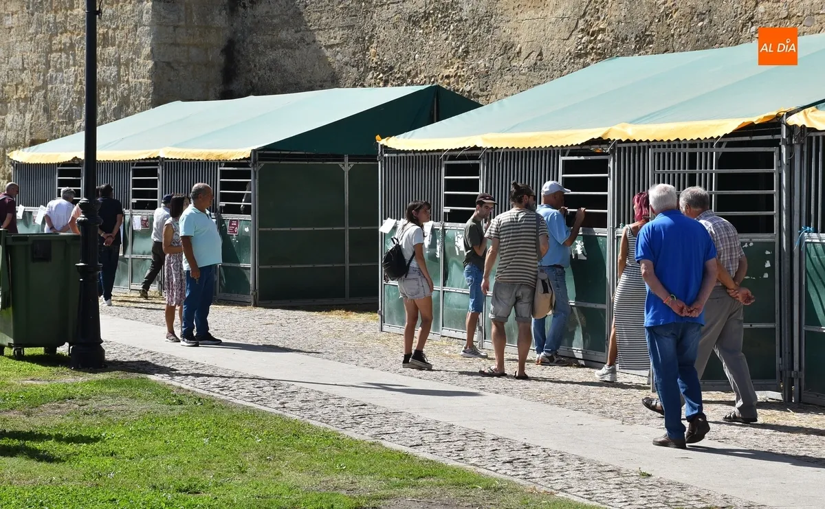 Foto 2 - La Feria del Caballo brinda un mercadillo sabatino &lsquo;alternativo&rsquo;